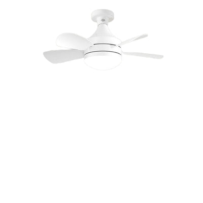 Torima Ceiling Fan Light